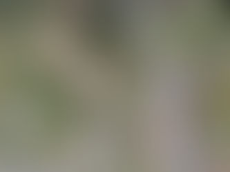 RTC on Formby bypass northbound at junction of Scaffold Lane and Orrel Hill please avoid if possible