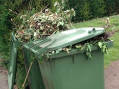 Don’t forget to put out your green bins tonight for the first collection of the year in Formby