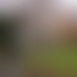 Park Sealed Off in Litherland After Man Found Dead