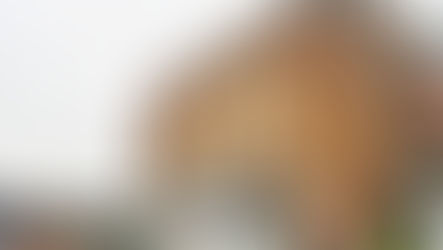 🎬 Lights, Camera, Crosby! Beatles Film Transforms Plaza Into the 1960’s