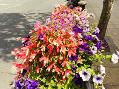Good morning on Tuesday 5th July. Light rain this morning with bright sunny spells later in Formby