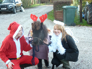 Come and meet the Huskies at Woodlands Animal Sanctuary Winter Market