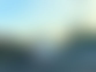 Five people including a schoolgirl injured in a dog attack in Formby