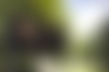 Former Teacher Accused of Sexual Abuse at Formby High School