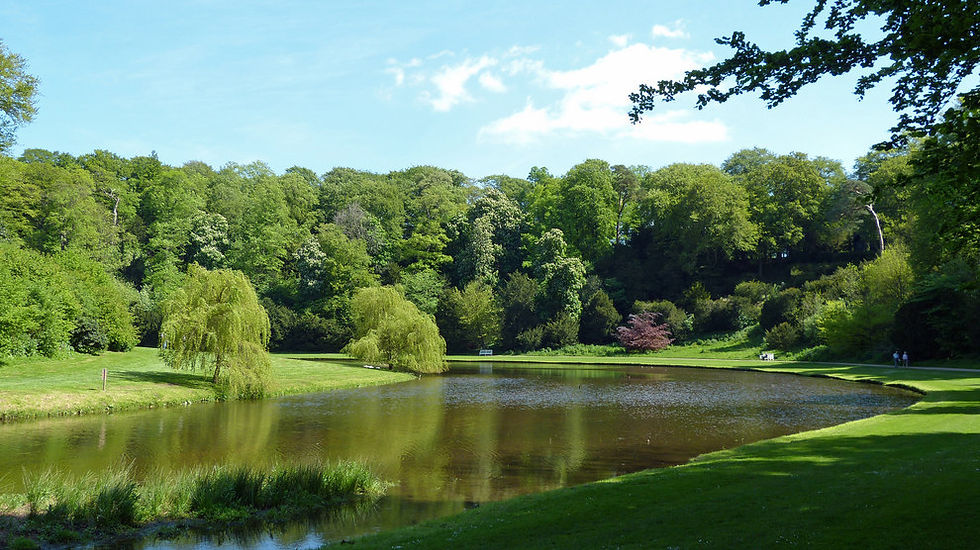 Studley Royal Park.jpg