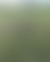 Outrage as Motorbike Rips Through Formby Children’s Football Pitches