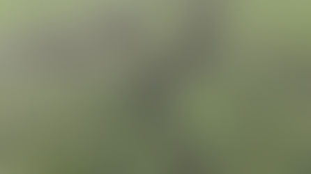 Outrage as Motorbike Rips Through Formby Children’s Football Pitches