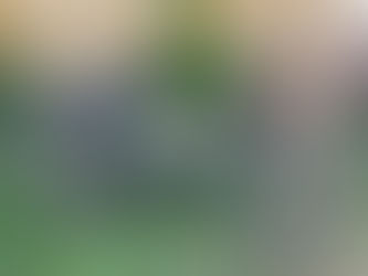 Ladies Expedition Sport Bike – Excellent Condition - Price: £100