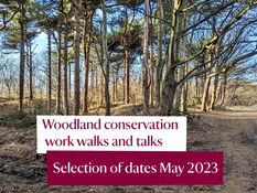 National Trust Formby Woodland Conservation Walks and Talks with a ranger start in May. Details here