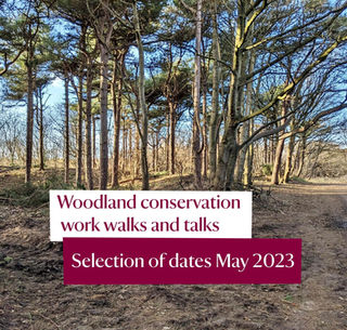 National Trust Formby Woodland Conservation Walks and Talks with a ranger start in May. Details here