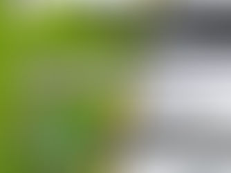 Hugh McAuley’s children’s summer football camps In Formby