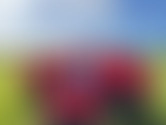 A great weekend for Formby Junior Sports Club