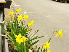 Good Morning on Tuesday 15th March. A fine Spring day in Formby
