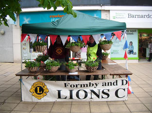 Hanging Basket stall today at Formby Luncheon Club