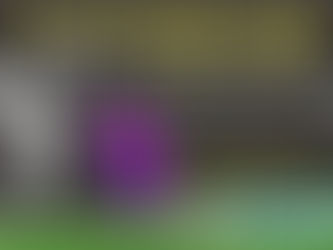 Proms in the Park - Tonight