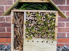 Southport Flower Show launches exciting Bee and Bug Hotel competition for schools