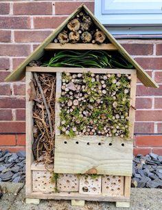 Southport Flower Show launches exciting Bee and Bug Hotel competition for schools