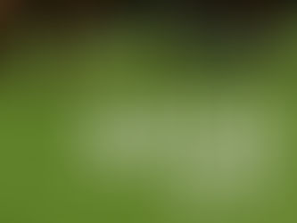 Grand National 2017 full list of horses and Jockeys for Aintree race