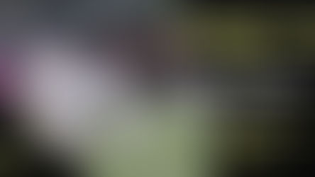 Formby Cricket Club Set for Historic Lancashire Cup Final