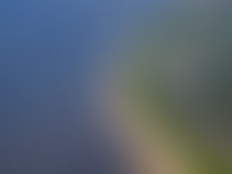 Formby Beach listed in National Trust top TEN coastal walks in the UK