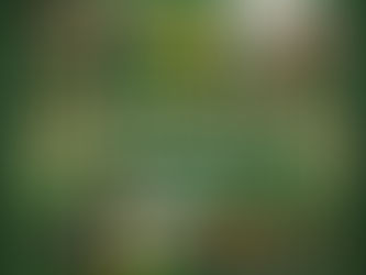 🍀 A Brand New Irish Sports Bar Is Coming Soon To Formby