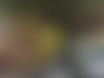 We are very sad to say that a person has been struck and killed by a train at Freshfield