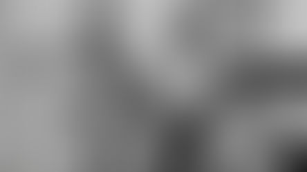 Webster family declared bankrupt as 79th Group investigation deepens