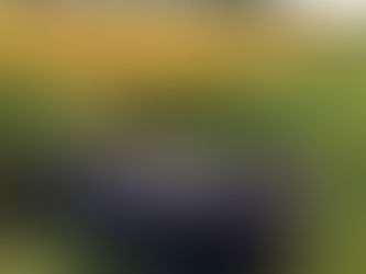 Woman in hospital after her car ditched in Engine Lane Formby