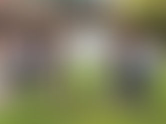 Formby High School share outstanding achievements of students A Levels and vocational qualifications