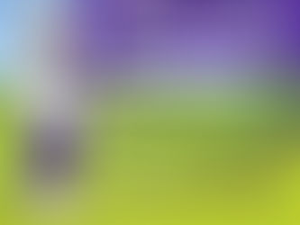 Easter Egg Trail Easter Weekend