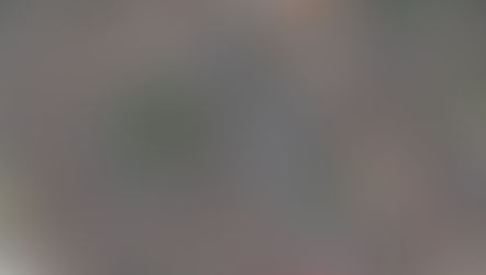 Merseyside Police introduce Section 60 Order introduced for Seaforth tonight