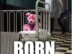Born To Order is based on true events and inspired by Formby womans battle against the establishment