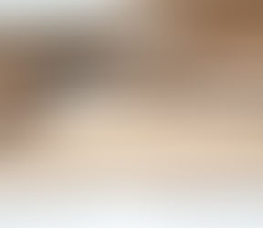 A sawn-off shotgun recovered from a property in Sefton where renovation work is being done