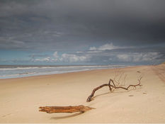 Good Morning on Thursday 17th February. Sunny spells, scattered showers and brisk winds in Formby
