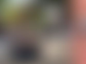 Imagine Formby are looking for ideas and inspiration for the ‘8 Alleyways’ in Formby Village