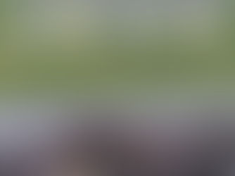 Two unexploded Bombs should put a stop to the Andrews Lane development