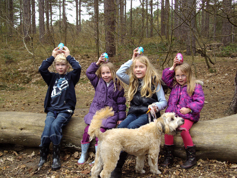 Cadbury Easter Egg Trail NT.JPG