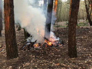 Fire started in Formby woods