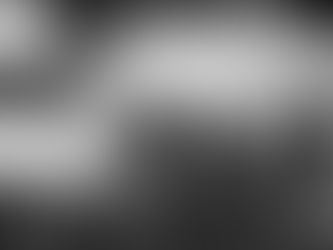 Your Christmas trees can help defend Formby from the sea