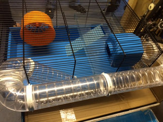 Hamster Cage....£20