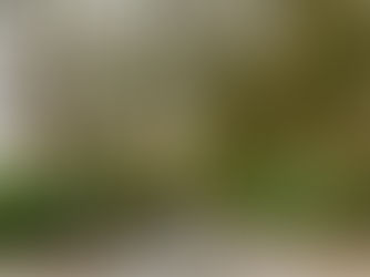 A statement from Mr Mike McComb regarding slanderous comments on Formby Bubble Facebook page