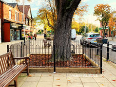 The new Tree Pit and railings will ensure long term care of our Village Trees