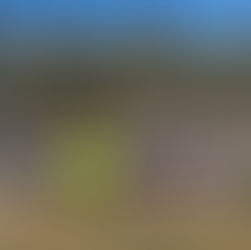 An exciting finale to the Formby Junior Sports Club’s season is expected as team’s spring into action.