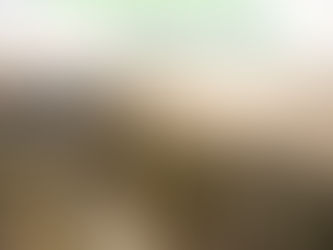 Beach access disruption at Lifeboat Road as essential repairs begin