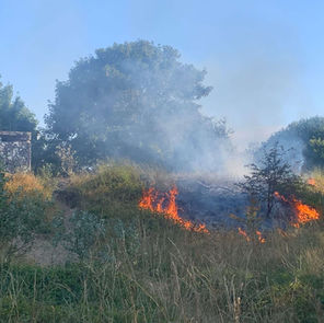 Fire crews tackle grass fire behind Range High School as residents urged to take extra care