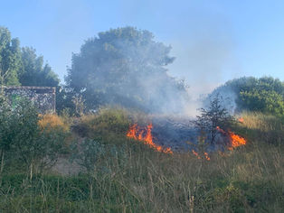Fire crews tackle grass fire behind Range High School as residents urged to take extra care