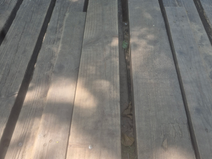Appeal to National Trust After Serious Injury on Wicks Lake Bridge in Formby