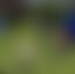 Best attendance of the season at Formby Junior Sports Club