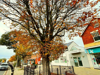 Good Morning on Sunday 24th October. Heavy showers expected but clearing this afternoon in Formby