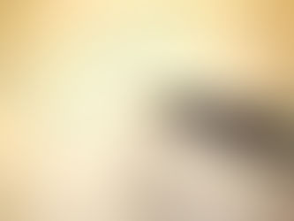 One Gentleman, One Diva, and One Unbelievable Council Saga!